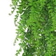 thumbnail image 5 of Plantas Colgantes Artificiales, Plantas Verdes Falsas, Enredaderas De Helecho Persa Para Porche, 5 of 8