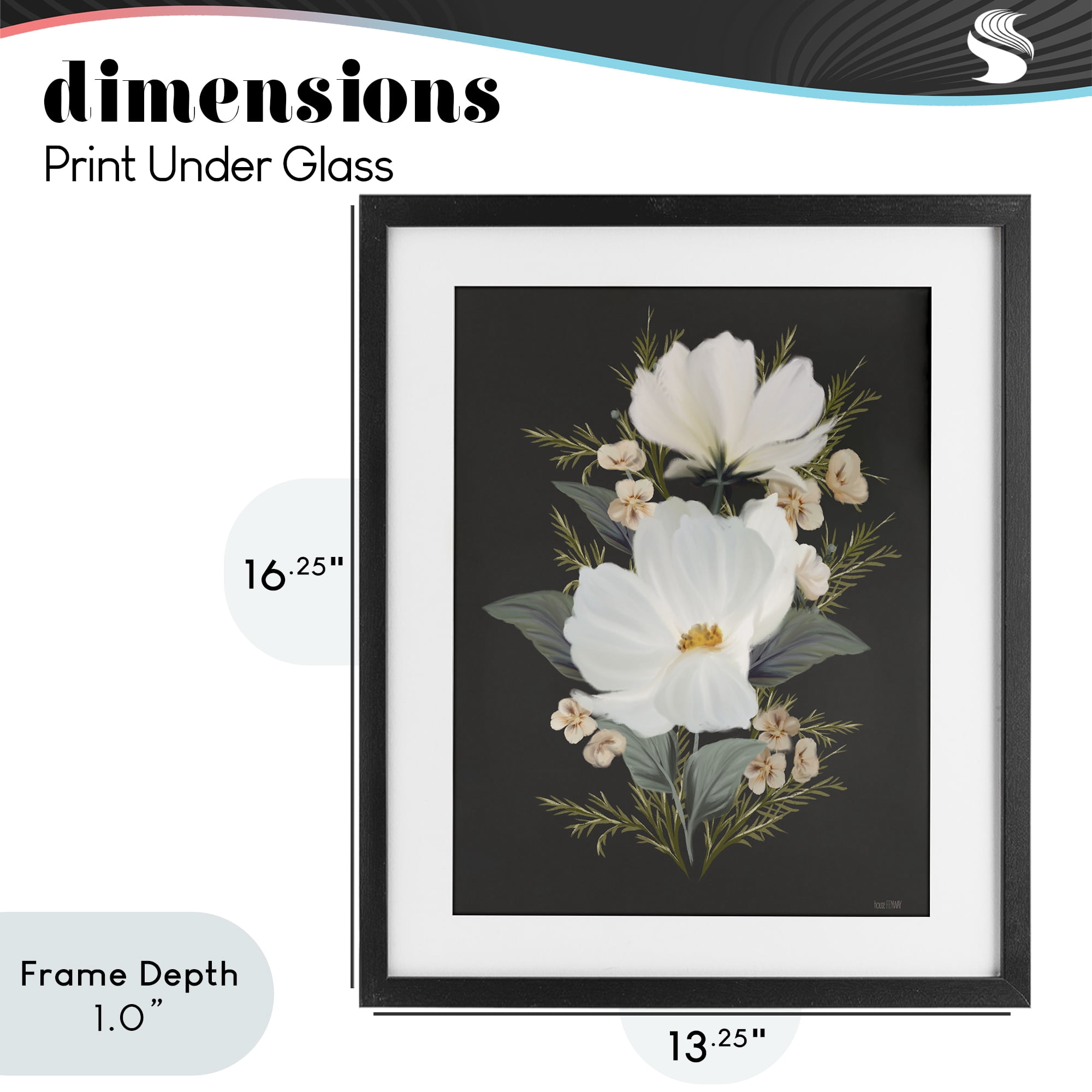 Stupell Industries Lace Cosmos Flowers Black Framed Print Under Glass, design by House Fenway