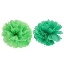 OHOIOLLA 20Pcs Assorted Color Paper Pom Poms Balls for Birthday Decorations