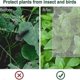 thumbnail image 2 of 5 Packs Of Garden Plant Protection Nets with Rope, Tomato Protective Cover Garden Plant Isolation Ba, 2 of 5