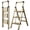 Champagne Gold Finish, variant on Calmwrd Step Ladder Folding 3-Step Woodgrain Finish Aluminum Foldable Step Ladders,Anti-Slip for Home & Kitchen Office 330 lbs