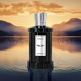 thumbnail image 2 of Perfume ROMASS Valor's Path Eau de Parfum 100 ml para hombre y mujer, 2 of 6