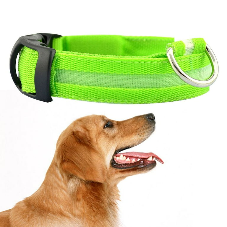 Dog belt best sale for neck