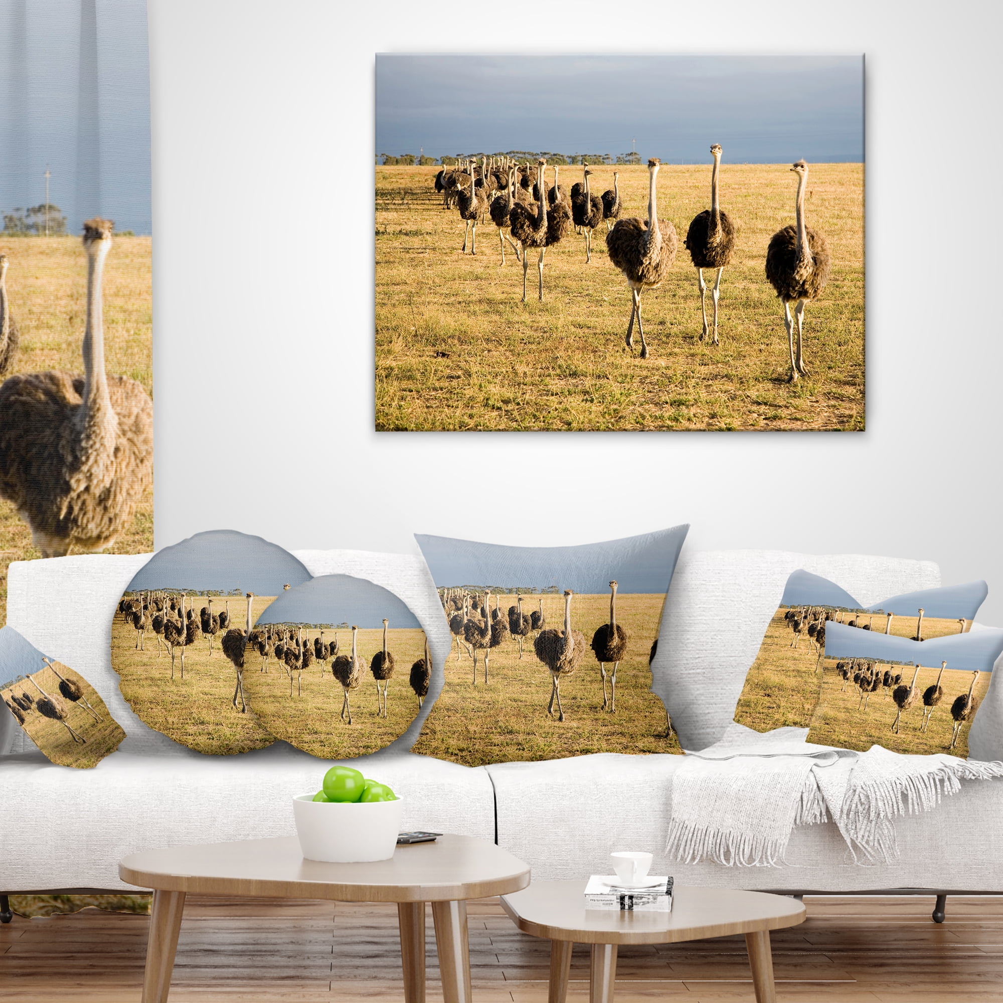 Designart Ostriches Walking in South Africa - African Throw Pillow - 18x18