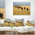 thumbnail image 3 of Designart Ostriches Walking in South Africa - African Throw Pillow - 18x18, 3 of 4