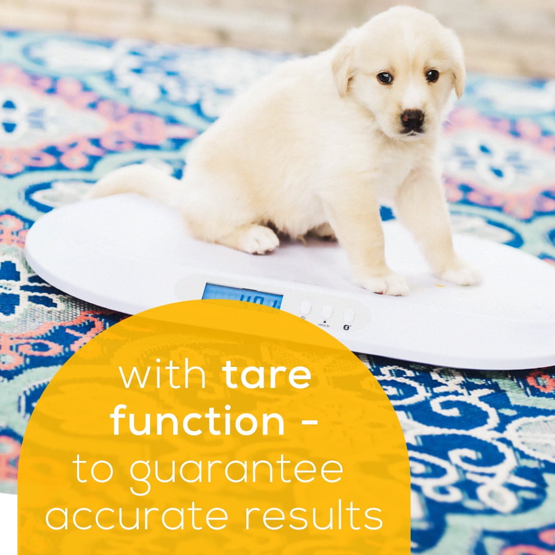 Beurer Digital Baby Scale with Measuring Tape with Baby Care App, BY90