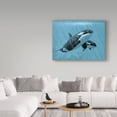 thumbnail image 3 of Trademark Fine Art 'Mother And Son Orcas' Canvas Art by Ron Parker, 3 of 3