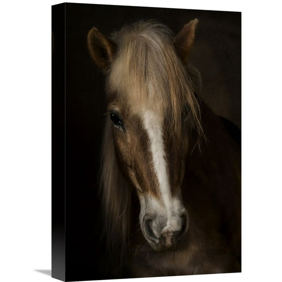 Global Gallery Martine Benezech 'Sapience' Canvas Wall Art