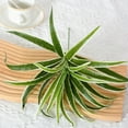 thumbnail image 6 of Artificial Spider Plant, Ongmies 12-Inch Hanging Faux Chlorophytum Comosum Plant In Pot: Artificial Potted Plant for Stylish Home Table, Kitchen, Bathroom & Bedroom Decor, Fake Greenery Plants, 6 of 9