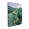 thumbnail image 3 of Stupell Industries Vivid Cactus Blossoms Photograph Gallery Wrapped Canvas Print Wall Art, Design by Sonja Quintero, 3 of 7