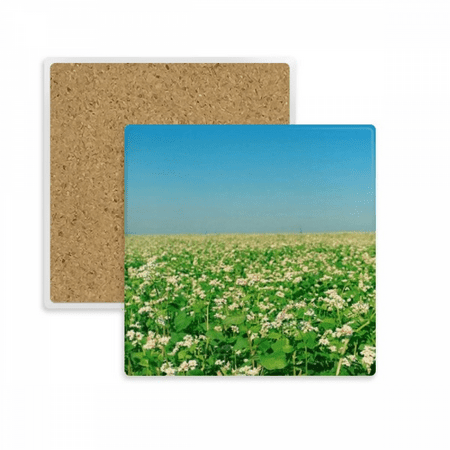 

Sky Green Forestry Science Nature Scenery Square Coaster Cup Mat Mug Subplate Holder Insulation Stone