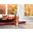 thumbnail image 3 of Spray Ambiental Yankee Candle Spiced Pumpkin 44mL (Paquete de 3), 3 of 4