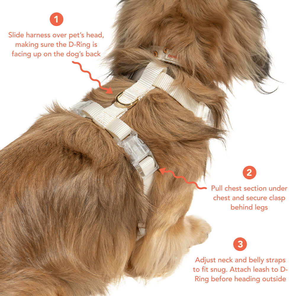 Oodles Checkerboard Quilted Dog Harness Small photo 8
