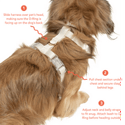 Oodles Checkerboard Quilted Dog Walking Harness, Black, Small