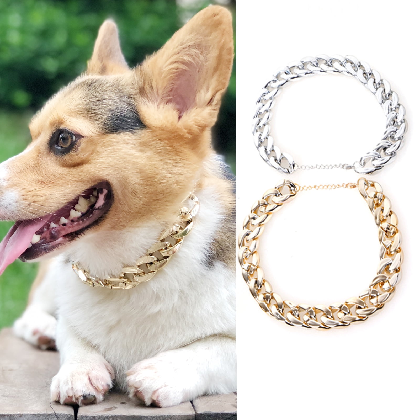 dog neck accessories