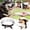 Silver, variant on Dog Training Collar No Pull Walking Tool for Obedience and Behavior Control