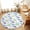 White, variant on Entryway Rug 2'x3', Cartoon Dinosaur Kitchen Runner Rugs Non-Slip Carpet Mats, Watercolor Green Blue Dino Yellow Bedside Rugs Runners Washable Floor Carpet for Bathroom Laundry Room