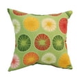 thumbnail image 2 of Blazing Needles 9910-S4-OD-127 17 in. Square Polyester Outdoor Throw Pillows, Beringer Spring - Set of 4, 2 of 2