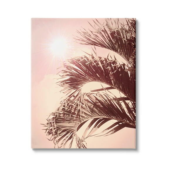 Stupell Industries Pink Sunlit Palm Fronds Botanical & Floral Photography Gallery Wrapped Canvas Print Wall Art, 16 x 20
