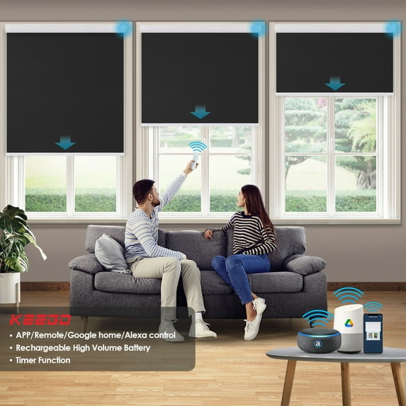 Keego Motorized Shade Remote Control App Control Voice Control Silent Rechargeable Blackout Roller Blinds Auto Window Blinds Dark,27.5"w x 46"h