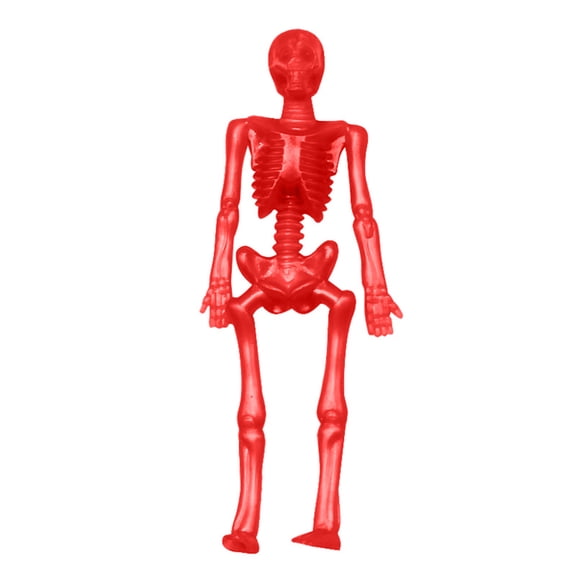 Figura de esqueleto de goma suave elástica y estirable, juguete decorativo de Halloween