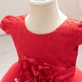 thumbnail image 3 of IDOPIP Baby Toddler Flower Girl Dress Lace Tulle Birthday Pageant Gown 1-5 Years 3D Flowers Formal Dress Toddler Wedding Guest Dress Baby Girl First Birthday Party Princess Baptism Dresses, 3 of 7