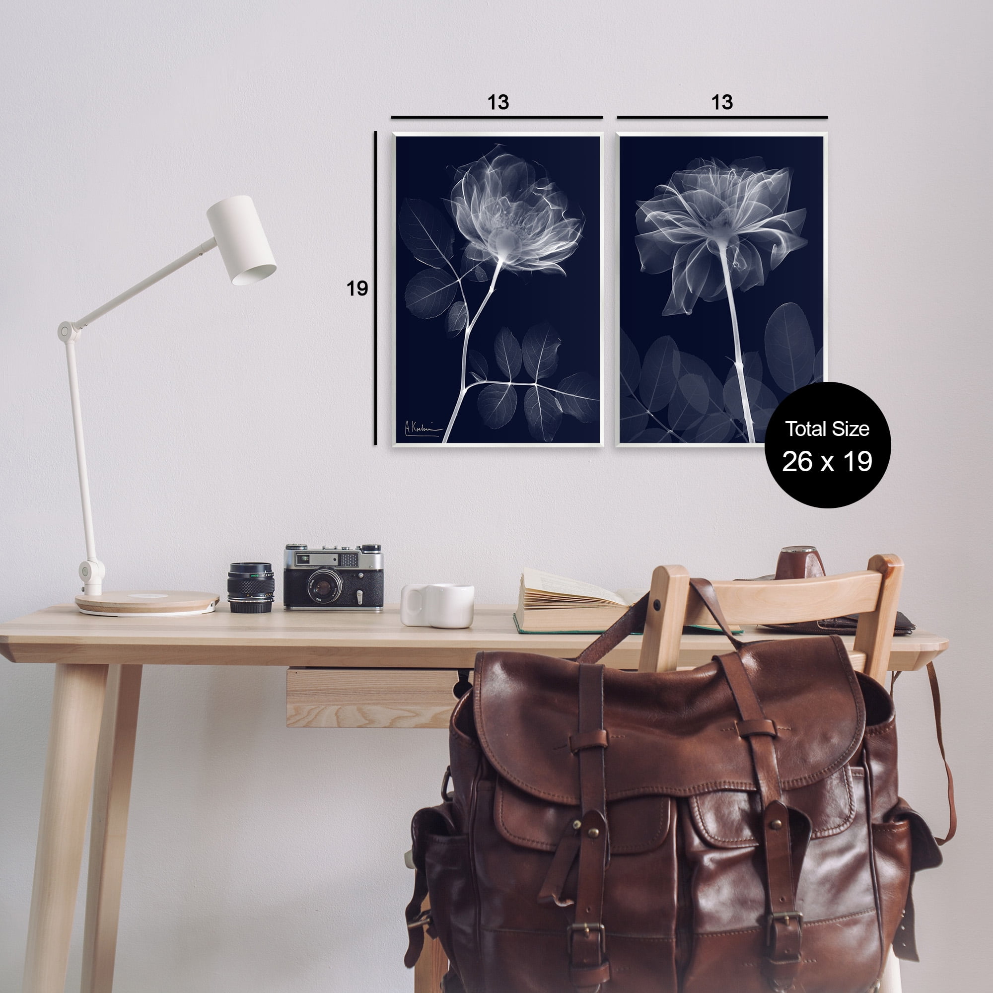 Stupell Industries X-Ray Blossom on Black Botanical & Floral Photography Unframed Art Print Wall Art, 13 x 19, Set of 2