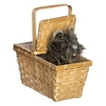 thumbnail image 2 of Costumes For All Occasions Ru583 Toto avec Panier Deluxe Web, 2 of 4