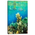 thumbnail image 2 of Fantastic Poisson Corail Rouge de Mer - Impression sur Toile, 2 of 3