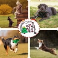 thumbnail image 4 of Juego de juguetes con cuerda para perros Aitmexcn, paquete de 7, algodón interactivo, 4 of 6