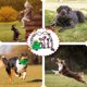thumbnail image 4 of Juego de juguetes con cuerda para perros Aitmexcn, paquete de 7, algodón interactivo, 4 of 6
