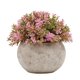 thumbnail image 1 of Labymos Mini plantas artificiales en maceta, maceta, 1 of 8