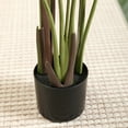 thumbnail image 3 of 2 Pack 5 Feet Artificial Bird of Paradise Plant Fake Tropical Palm Tree for Indoor Outdoor, Perfect Faux Plants for Home Garden Office Store Decoration, 3 of 9