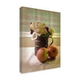 thumbnail image 2 of Trademark Fine Art 'Nbnc Still Life' Canvas Art by Margaret Wilson, 2 of 3