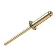 thumbnail image 1 of ForgeFix - Aluminium Rivets 4.0 x 10mm Bag of 100, 1 of 1