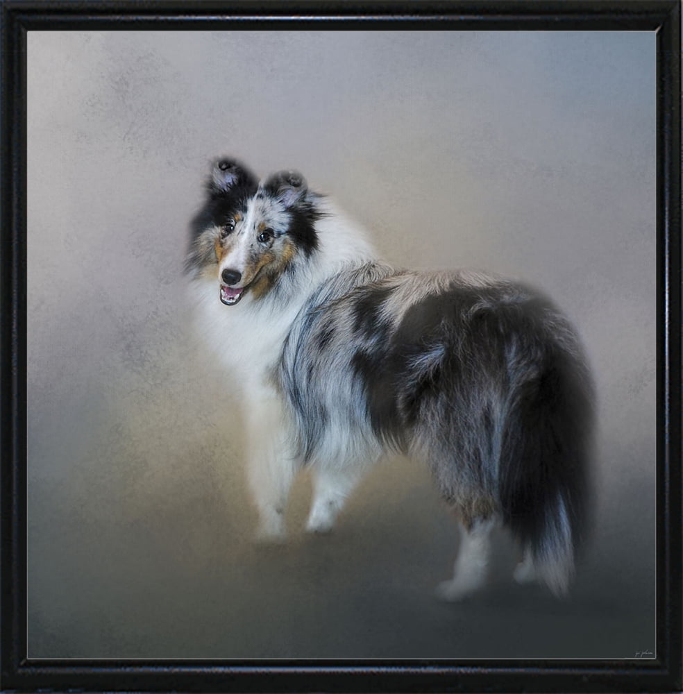 blue merle sheltie stuffed animal