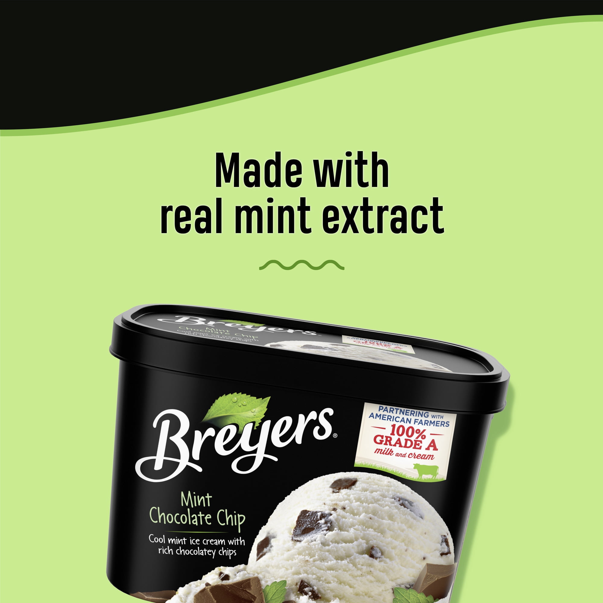 Breyers Mint Chocolate Chip Ice Cream Gluten-Free Kosher Dairy Milk, 1.5  Quart - Walmart.com, image size:2000x2000