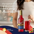 thumbnail image 3 of Torani Watermelon Flavoring Syrup, Professional Refreshing Summer Base, Shatter-Resistant 1L Plastic Bottle + Bonus Squeeze Pump, 3 of 4