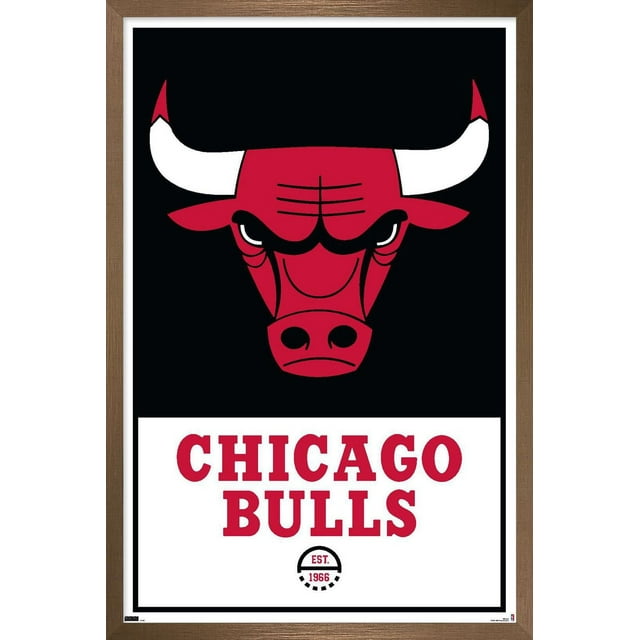 NBA Chicago Bulls - Logo 21 Wall Poster, 22.375" x 34" Framed