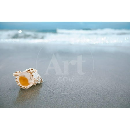 Sea Shell with Sea Wave, Florida Beach under the Sun Light, Live Action Print Wall Art By