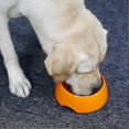 thumbnail image 5 of Pet , Anti-glut Bowls For Dogs And Cats, Bowls That Slower Slip An, 5 of 5