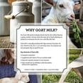 thumbnail image 3 of DIONIS Goat Milk Skincare Hand Cream STARGAZER LILY – 1 oz / 28 g, 3 of 5
