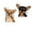 Black Tan Chihuahua Dog & Fawn Chihuahua Dog, variant on WIRESTER Stainless Steel Magnetic Clips Set of 2 for Fridge, Whiteboard & Office Use, Strong Bag Clips & Paper Clamps - Black Tan Chihuahua Dog & Fawn Chihuahua Dog