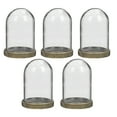 thumbnail image 1 of Miangastore 5 Ensembles de Conteneurs en Verre Terrarium DIY Écologique avec Plateau, 1 of 8