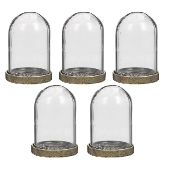 5-Pack Glass Terrarium Containers with Trays for Ecological Plant Covers and Miniature Garden Display