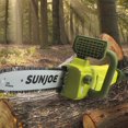 thumbnail image 3 of Sun Joe 8-inch 6 Amp 2-in-1 Convertible Electric Telescoping Pole Chain Saw, 3 of 5