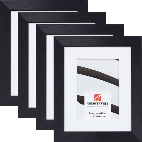 Craig Frames Modern Aesthetics 125, 24x36 inch Picture Frame Matted for a 20x30 Photo, Black, Set of 4