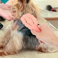 thumbnail image 4 of Raindrops Versatile Pink Pet Hair Brush for Small Dogs with Ergonomic Handle and Gentle Bristles, 4 of 8