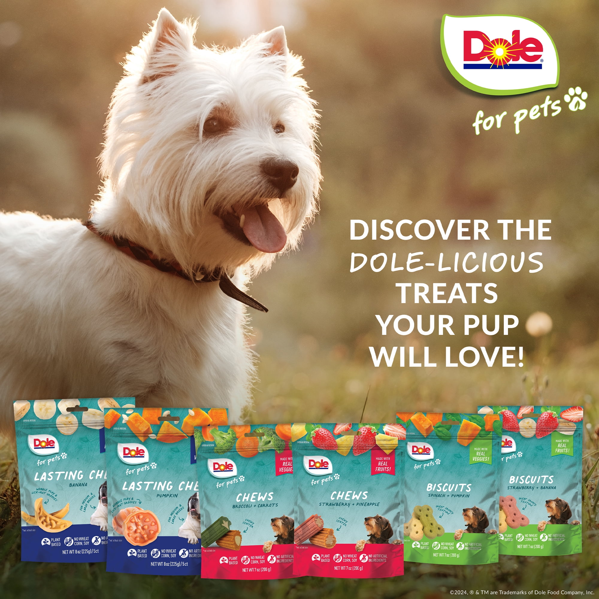 (4 pack) Dole Freshly Fetched Dog Biscuit Treats, Spinach & Pumpkin Flavors, No Wheat, Corn or Soy, 7oz