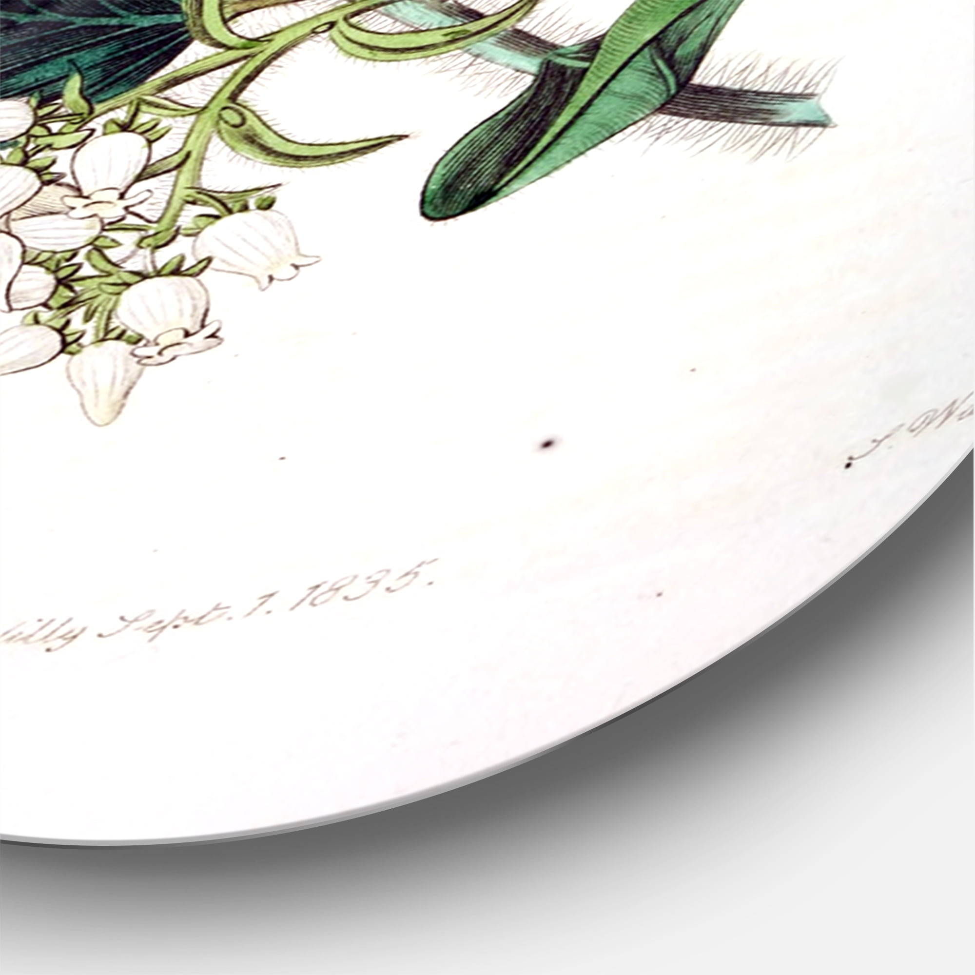 Designart 'Ancient Botanicals XX' Traditional Circle Metal Wall Art 23x23 - Disc of 23